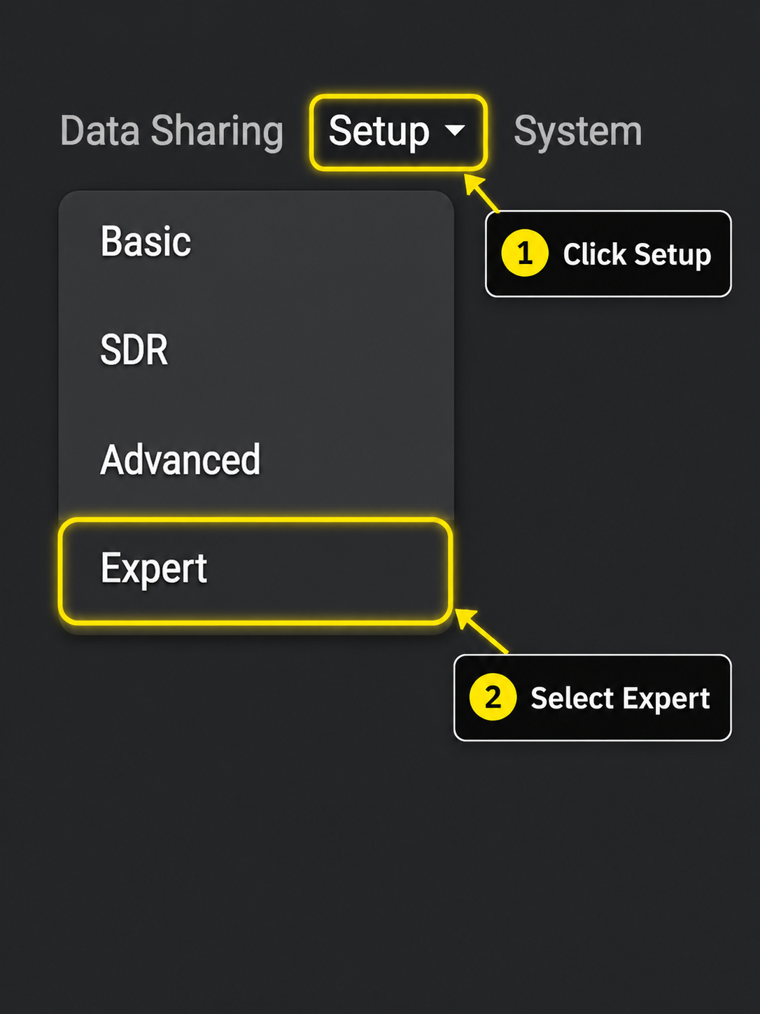 ADSB.im: click Setup and select Expert