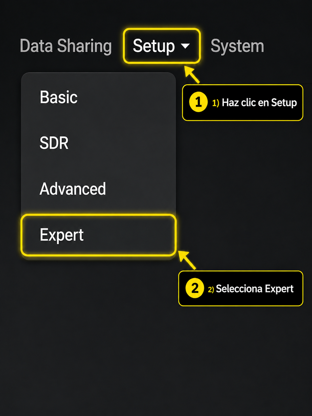 ADSB.im: haz clic en Setup y selecciona Expert